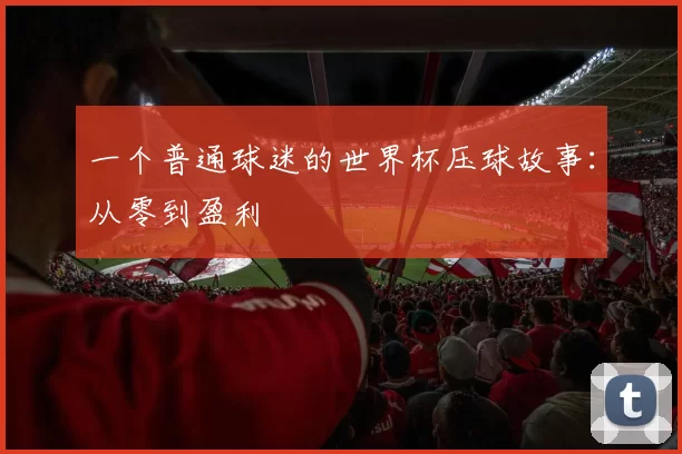 一个普通球迷的世界杯压球故事:从零到盈利