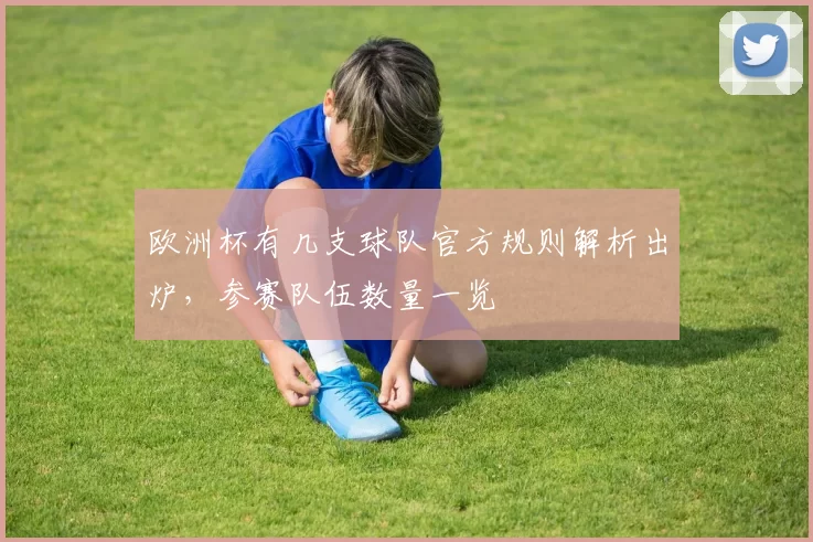 欧洲杯有几支球队官方规则解析出炉,参赛队伍数量一览
