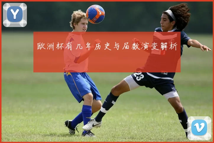欧洲杯有几年历史与届数演变解析