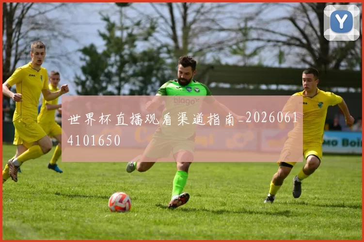 世界杯直播观看渠道指南_20260614101650
