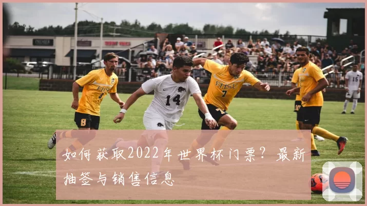 如何获取2022年世界杯门票？最新抽签与销售信息