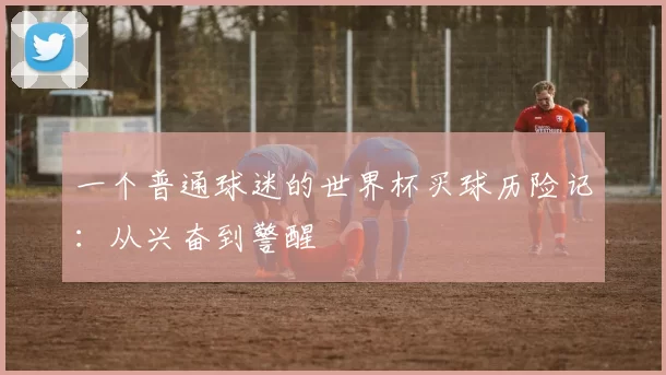 一个普通球迷的世界杯买球历险记：从兴奋到警醒