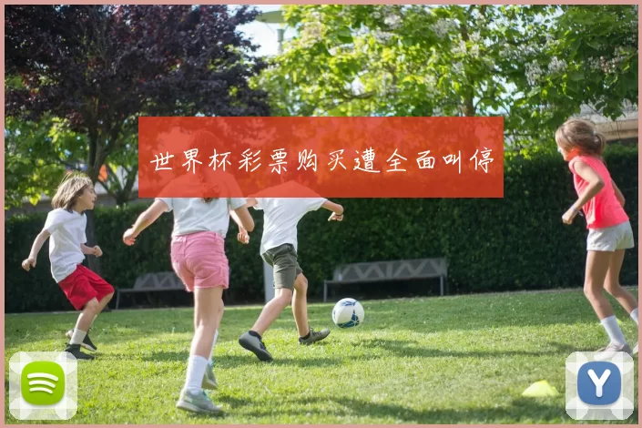 世界杯彩票购买遭全面叫停
