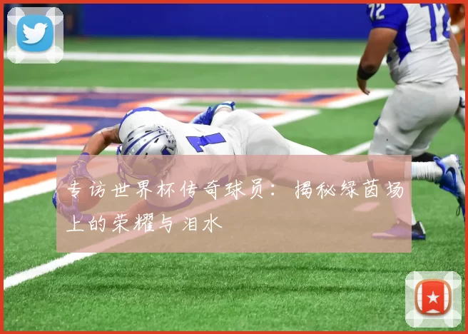 专访世界杯传奇球员:揭秘绿茵场上的荣耀与泪水