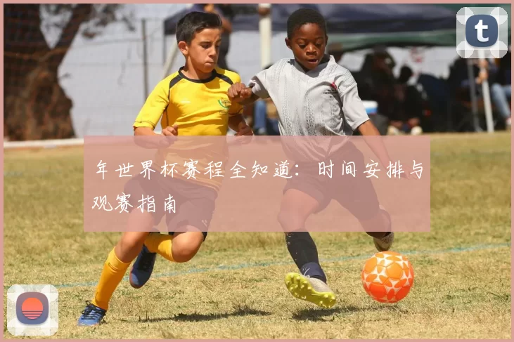 年世界杯赛程全知道：时间安排与观赛指南