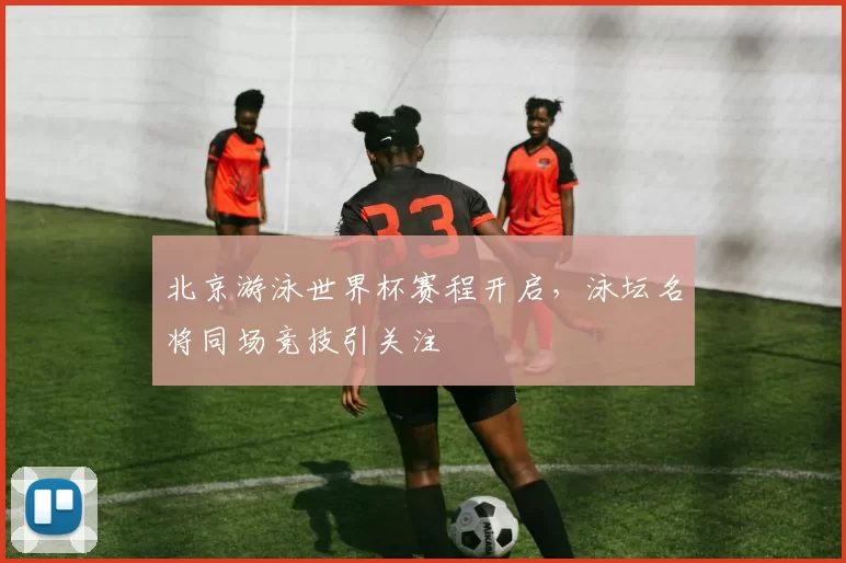 北京游泳世界杯赛程开启,泳坛名将同场竞技引关注