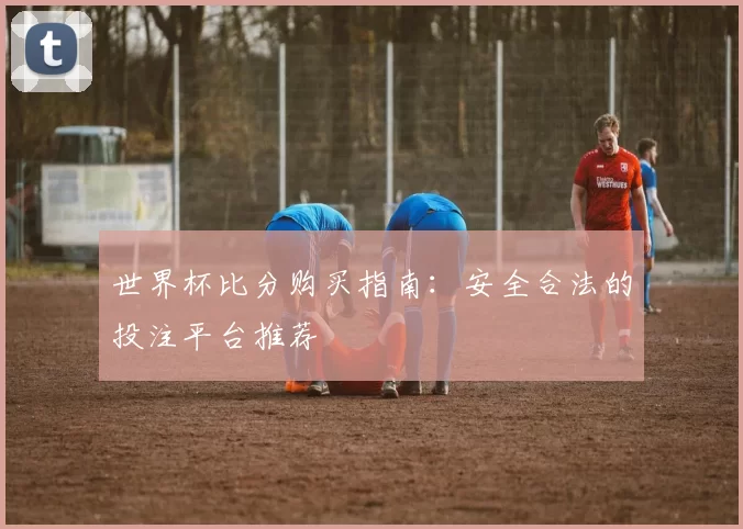 世界杯比分购买指南：安全合法的投注平台推荐