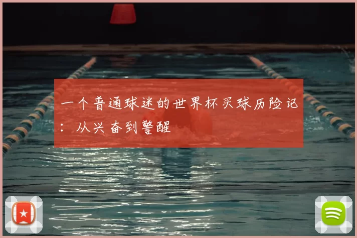 一个普通球迷的世界杯买球历险记:从兴奋到警醒