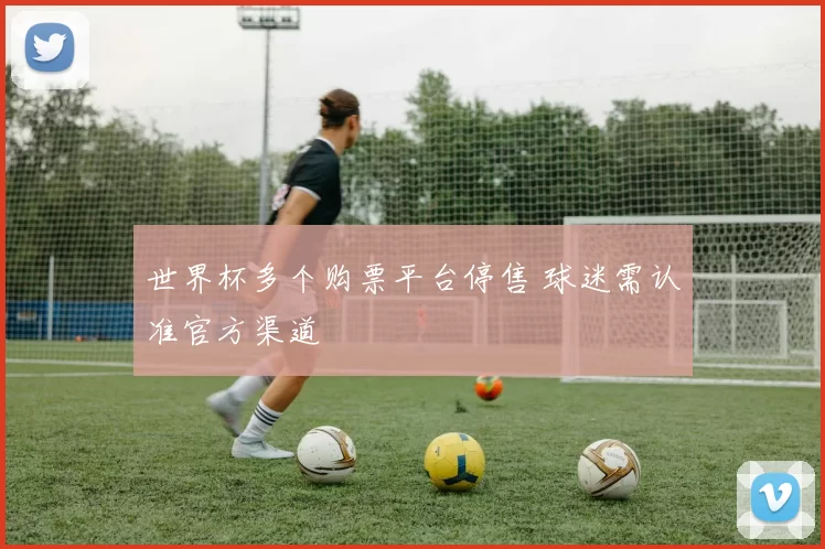 世界杯多个购票平台停售 球迷需认准官方渠道