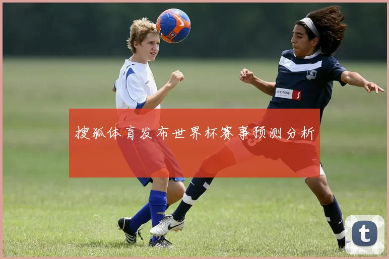 搜狐体育发布世界杯赛事预测分析